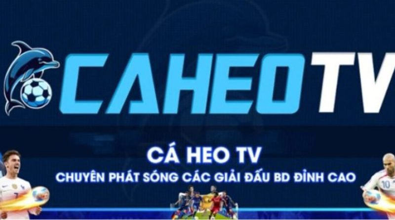 Caheolive.net trực tiếp bóng đá nhiều loại hình thi đấu