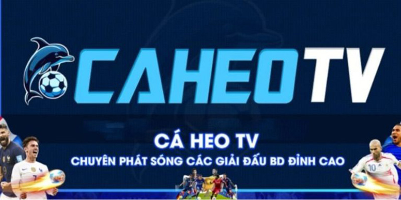 Lịch sử hình thành Caheolive.net trực tiếp bóng đá